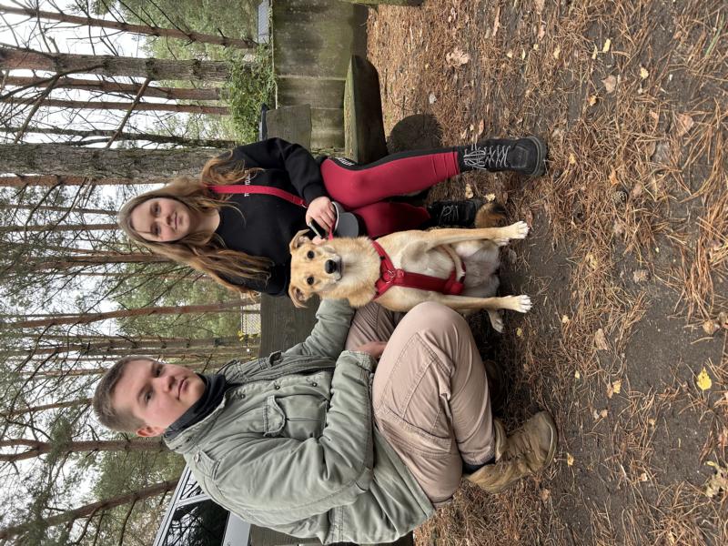 Tascha - Hund aus dem Tierheim in Brandenburg