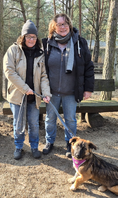 nelly hund aus dem tierheim brandenburg 2