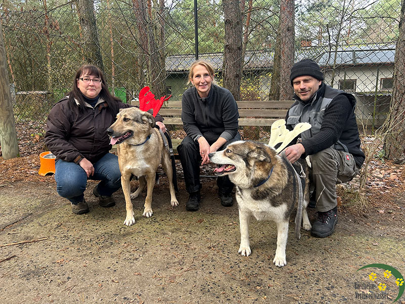 hunde aus tierheim verlorenwasser: merlin charlize