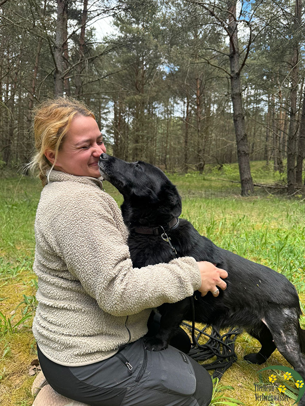 hund missy aus dem tierheim