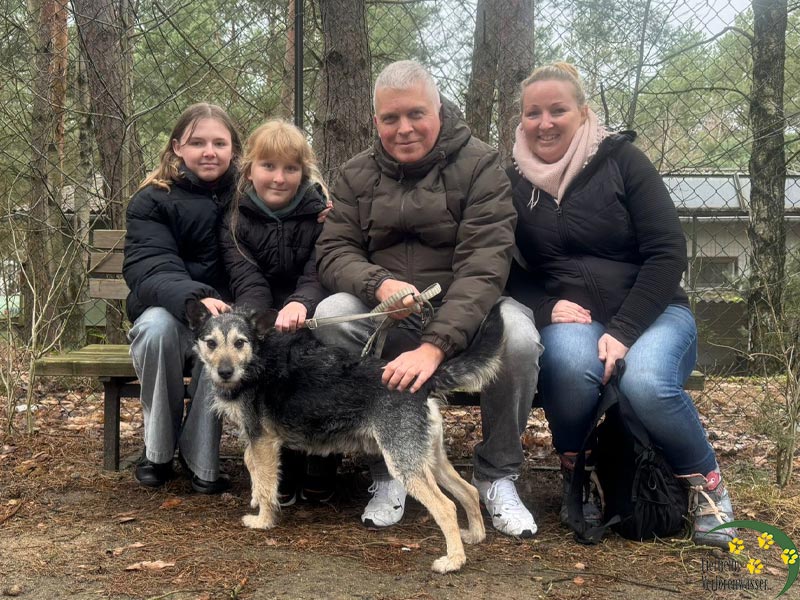 Hund Gufi aus Tierheim Brandenburg