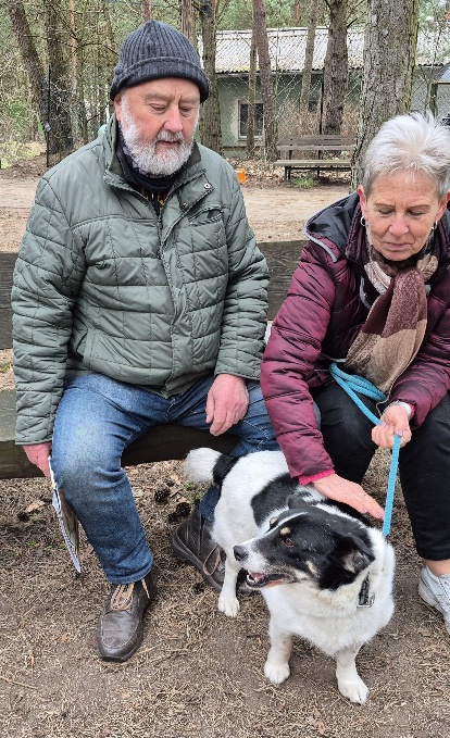 Netter Hund aus dem Tierheim