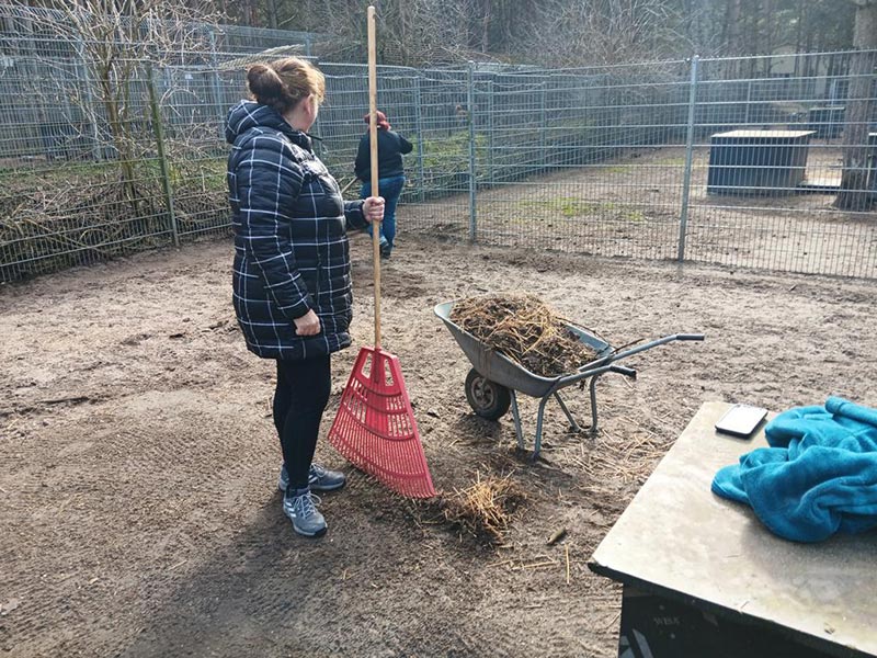 willkommene helfer 1