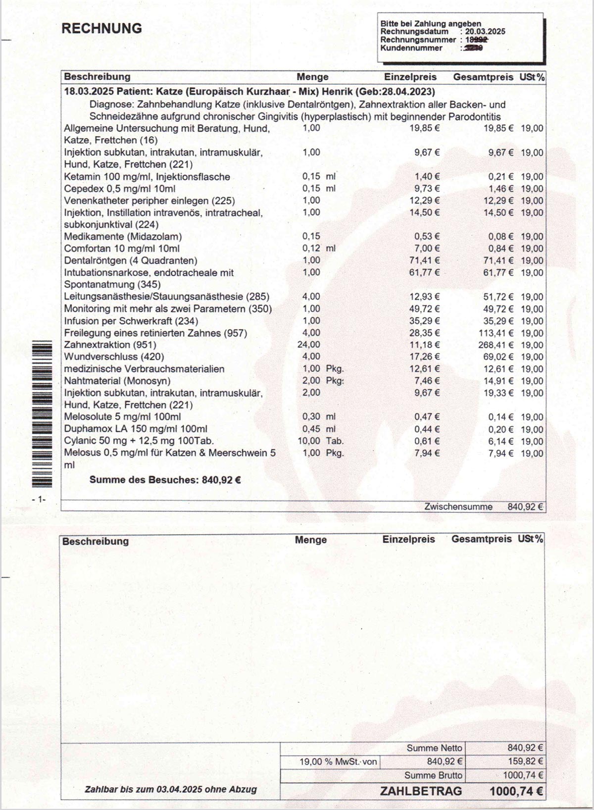 zahnarztkosten katze