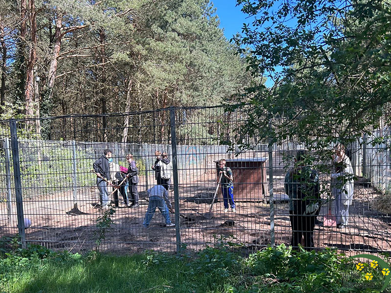 kinder zu besuch im tierheim