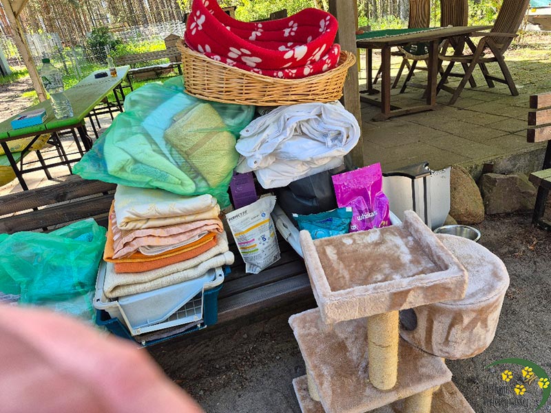 wundervolle spenden ans tierheim in Brandenburg