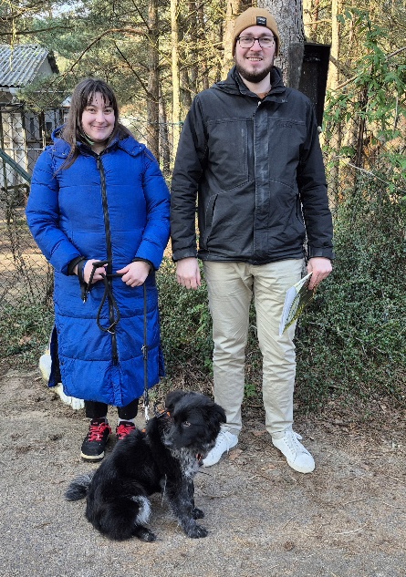 isabella hund aus tierheim 1