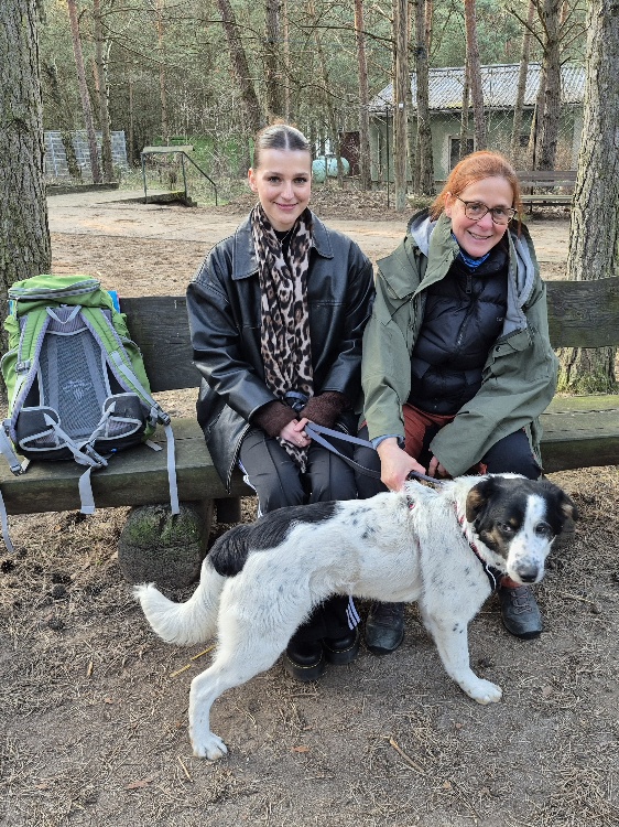 rudi hund aus dem tierheim brandenburg 1