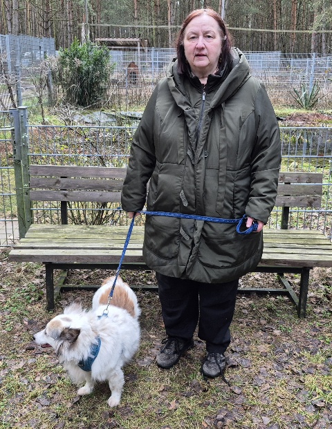 hund aus tierheim alma