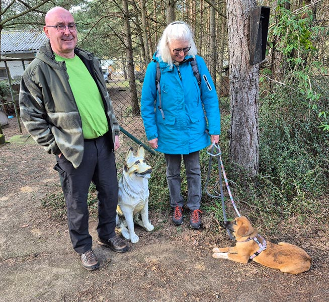 nora hund aus tierheim 1