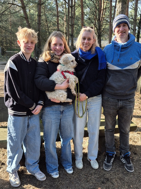 torsten hund tierheim